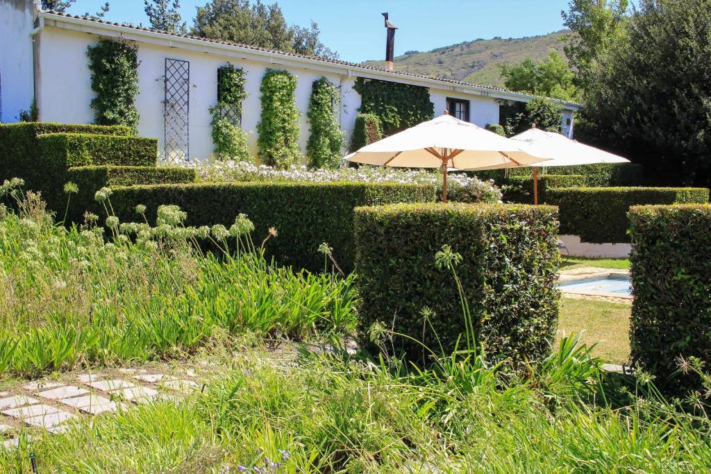 Belair Country House Bed & Breakfast Paarl Exterior photo